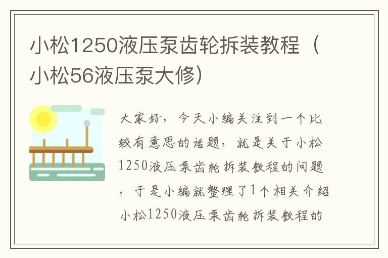 小松1250液压泵齿轮拆装教程（小松56液压泵大修）