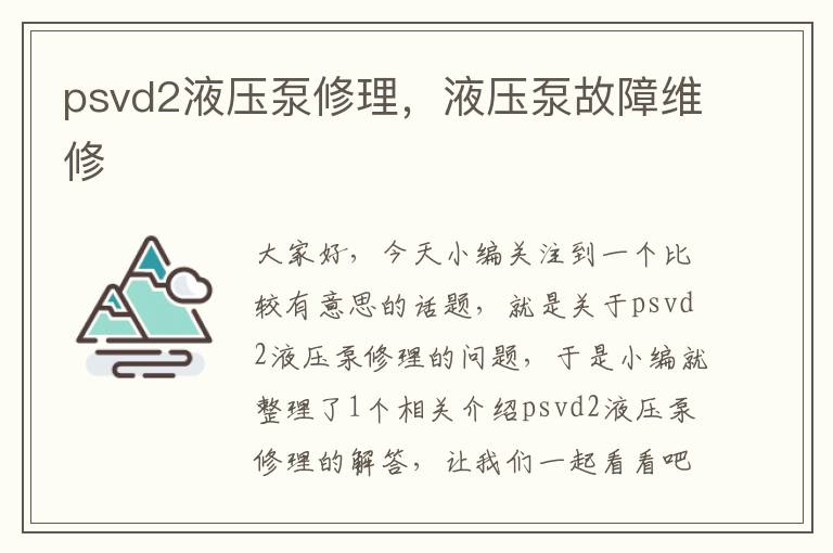 psvd2液压泵修理，液压泵故障维修