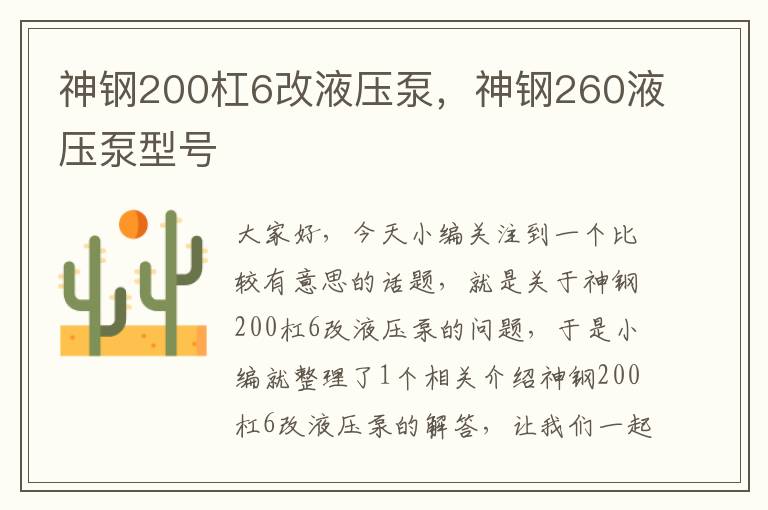 神钢200杠6改液压泵，神钢260液压泵型号