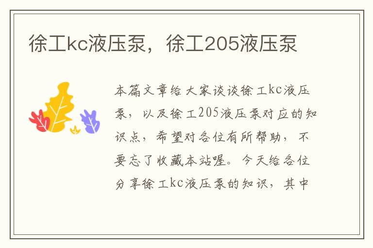 徐工kc液压泵，徐工205液压泵