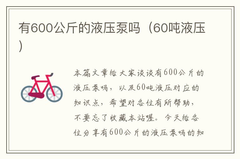 有600公斤的液压泵吗（60吨液压）