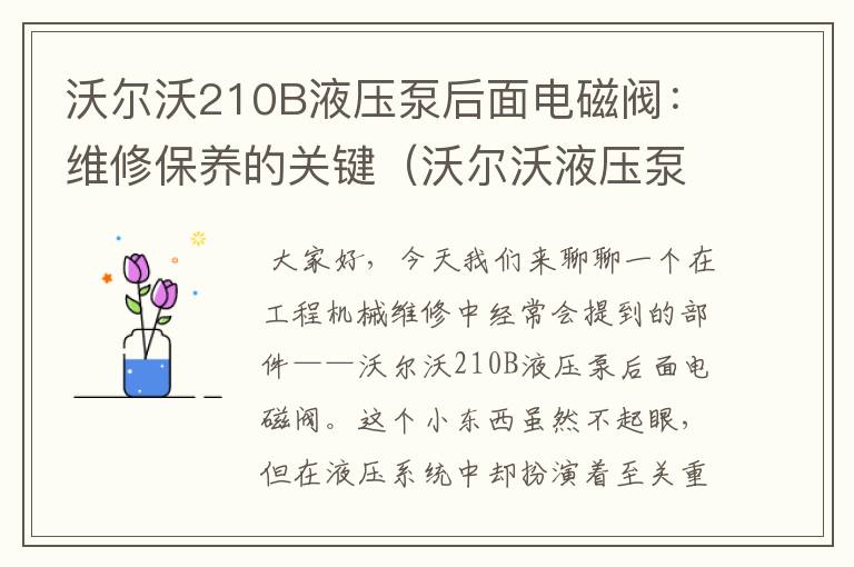 沃尔沃210B液压泵后面电磁阀：维修保养的关键（沃尔沃液压泵结构图及名称）