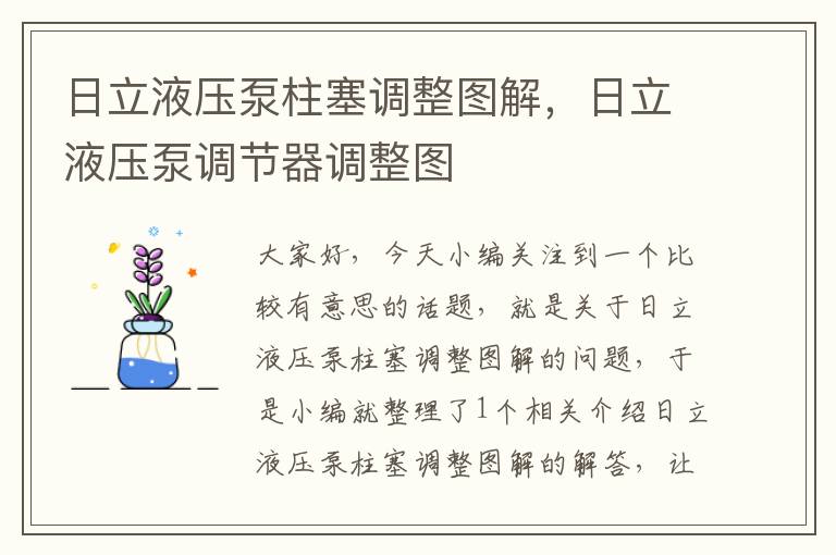 日立液压泵柱塞调整图解，日立液压泵调节器调整图