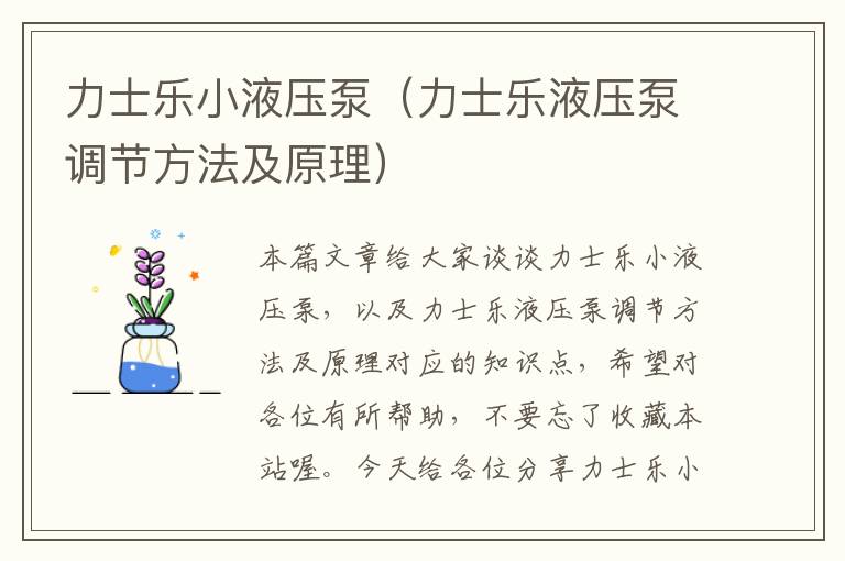 力士乐小液压泵（力士乐液压泵调节方法及原理）