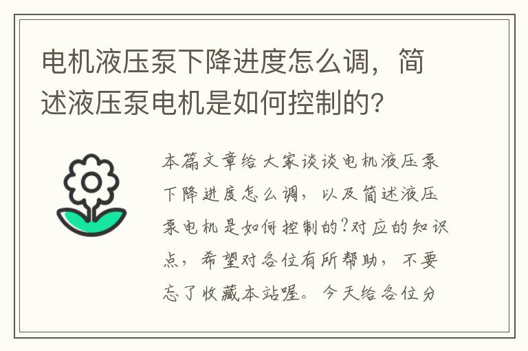 电机液压泵下降进度怎么调，简述液压泵电机是如何控制的?