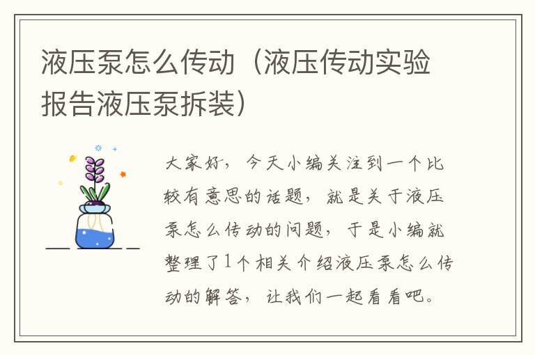 液压泵怎么传动（液压传动实验报告液压泵拆装）