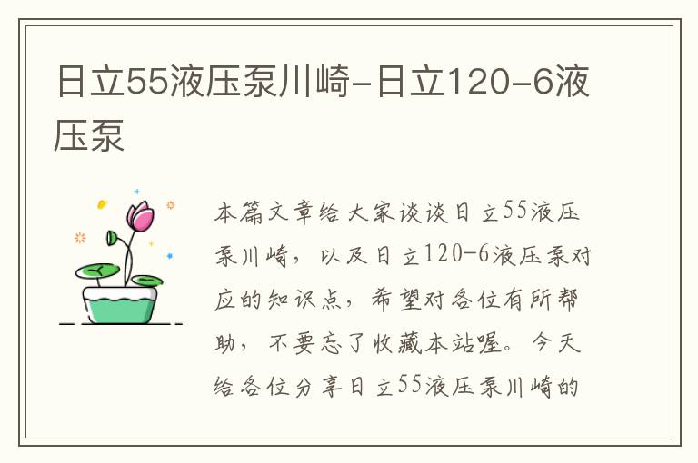 日立55液压泵川崎-日立120-6液压泵