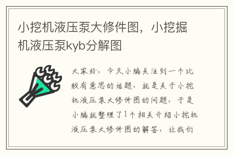 小挖机液压泵大修件图，小挖掘机液压泵kyb分解图