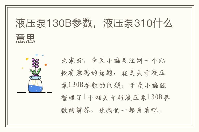 液压泵130B参数，液压泵310什么意思