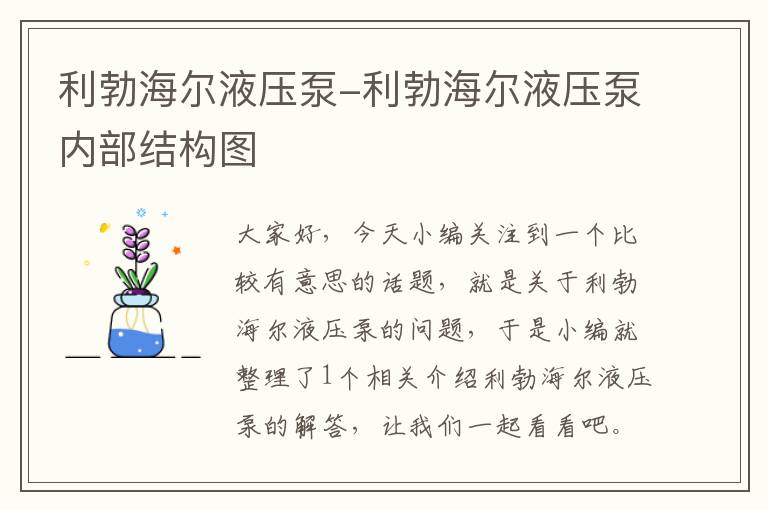 利勃海尔液压泵-利勃海尔液压泵内部结构图