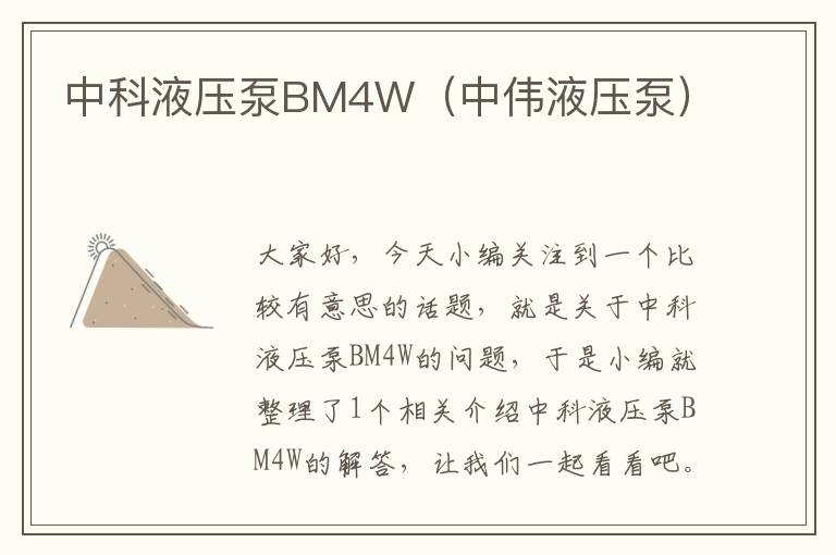 中科液压泵BM4W（中伟液压泵）