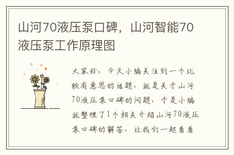 山河70液压泵口碑，山河智能70液压泵工作原理图