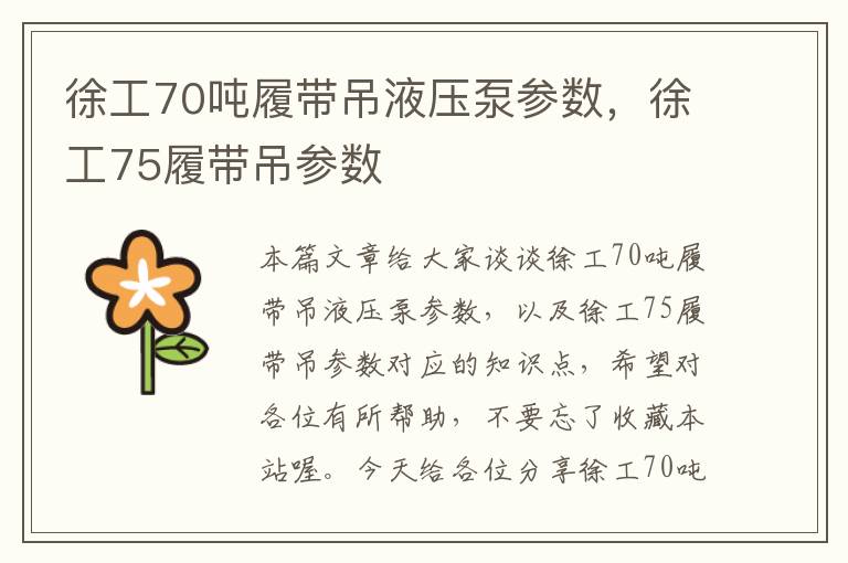 徐工70吨履带吊液压泵参数，徐工75履带吊参数