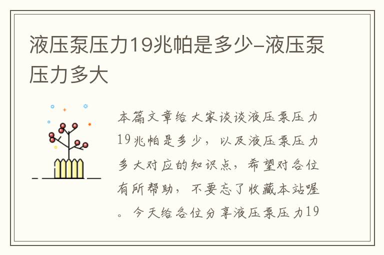 液压泵压力19兆帕是多少-液压泵压力多大