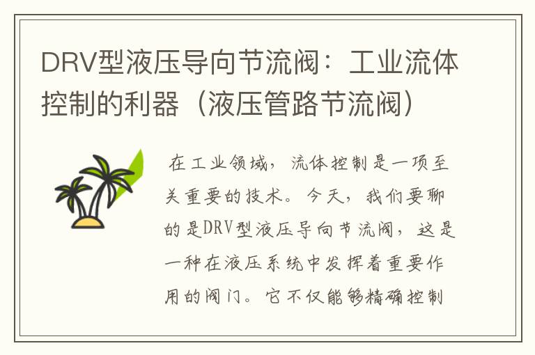 DRV型液压导向节流阀：工业流体控制的利器（液压管路节流阀）