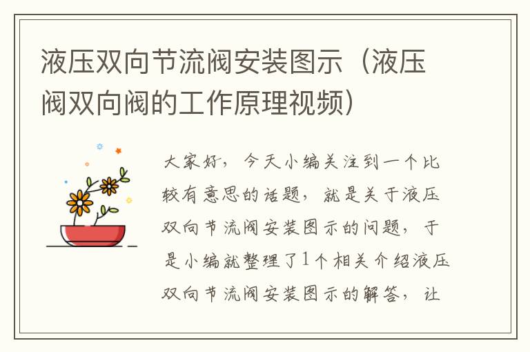 液压双向节流阀安装图示（液压阀双向阀的工作原理视频）