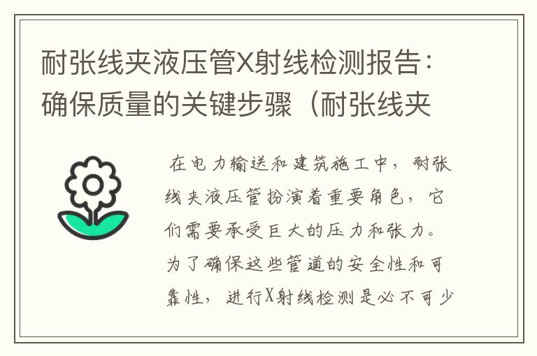 耐张线夹液压管X射线检测报告：确保质量的关键步骤（耐张线夹检验报告）