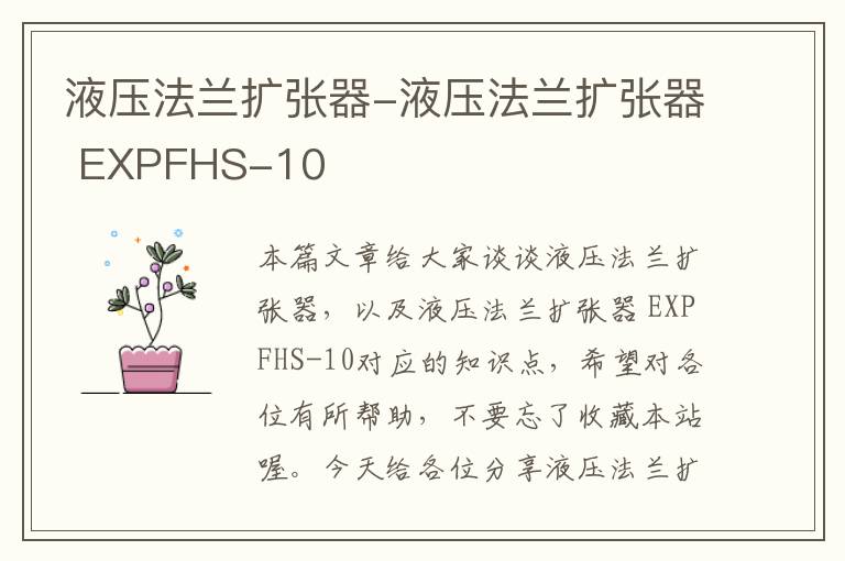 液压法兰扩张器-液压法兰扩张器 EXPFHS-10