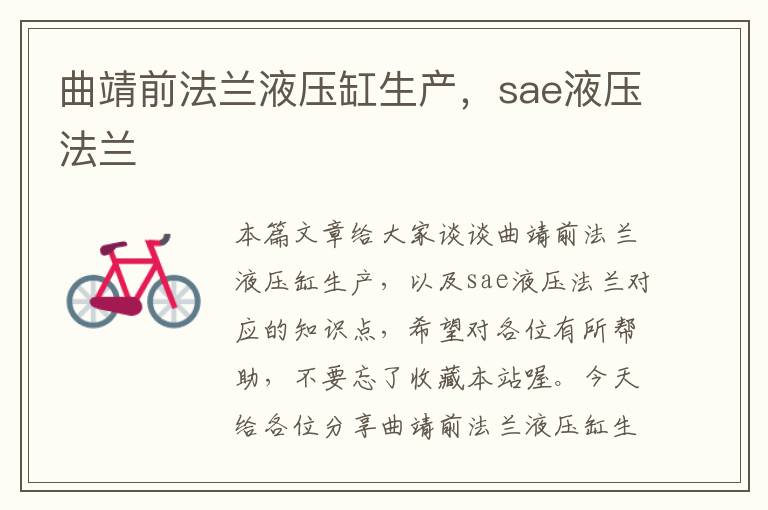 曲靖前法兰液压缸生产，sae液压法兰