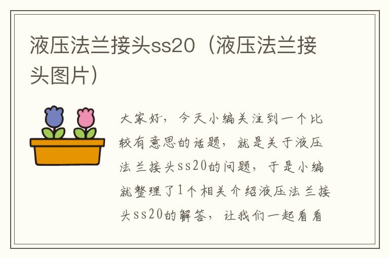 液压法兰接头ss20（液压法兰接头图片）