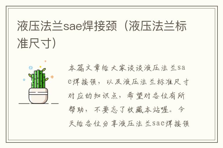 液压法兰sae焊接颈（液压法兰标准尺寸）