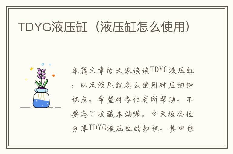 TDYG液压缸（液压缸怎么使用）