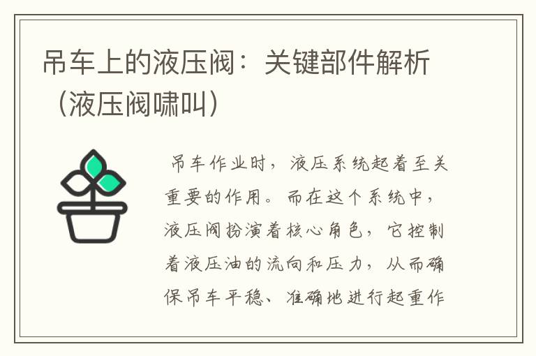 吊车上的液压阀：关键部件解析（液压阀啸叫）