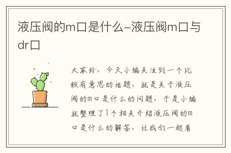 液压阀的m口是什么-液压阀m口与dr口