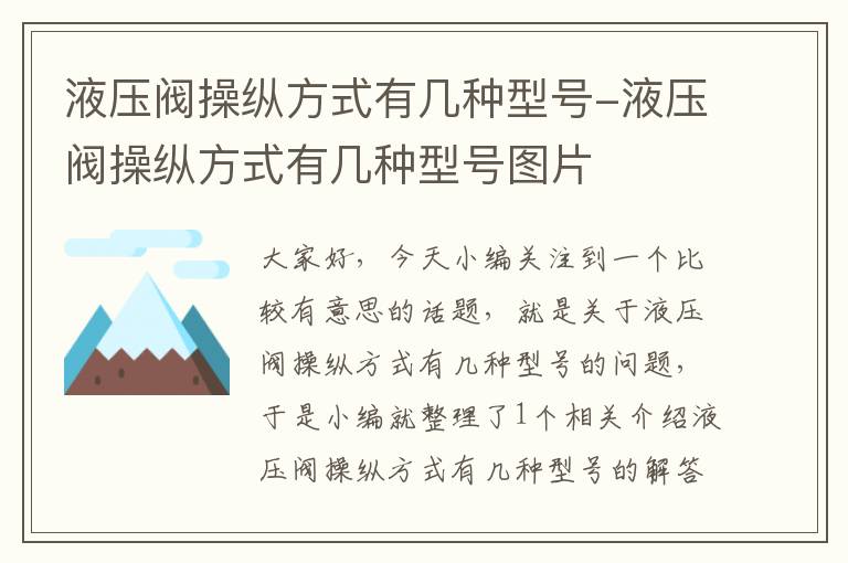 液压阀操纵方式有几种型号-液压阀操纵方式有几种型号图片