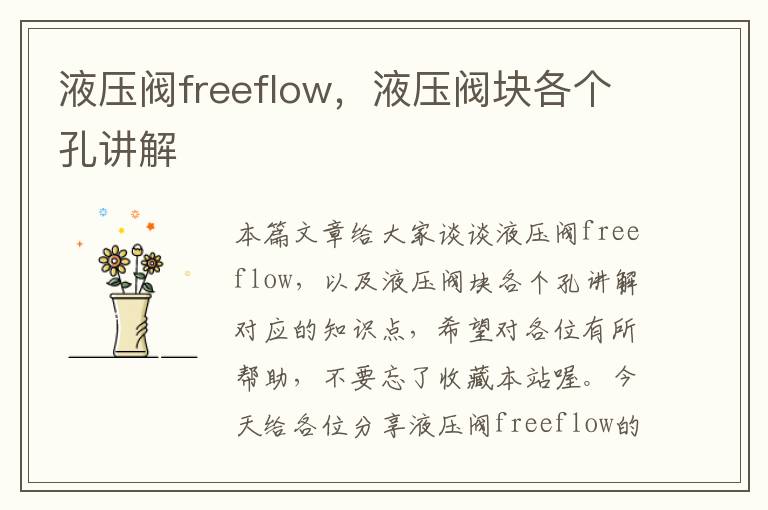 液压阀freeflow，液压阀块各个孔讲解