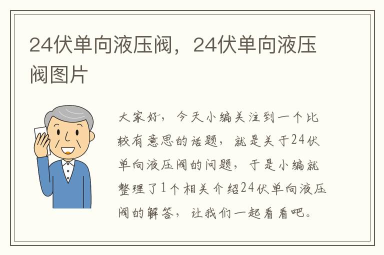 24伏单向液压阀，24伏单向液压阀图片