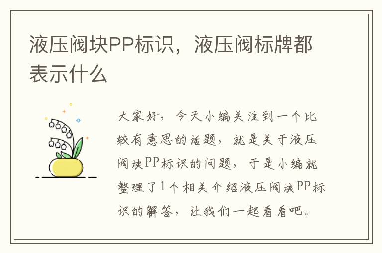 液压阀块PP标识，液压阀标牌都表示什么