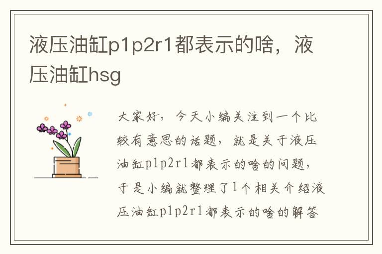 液压油缸p1p2r1都表示的啥，液压油缸hsg