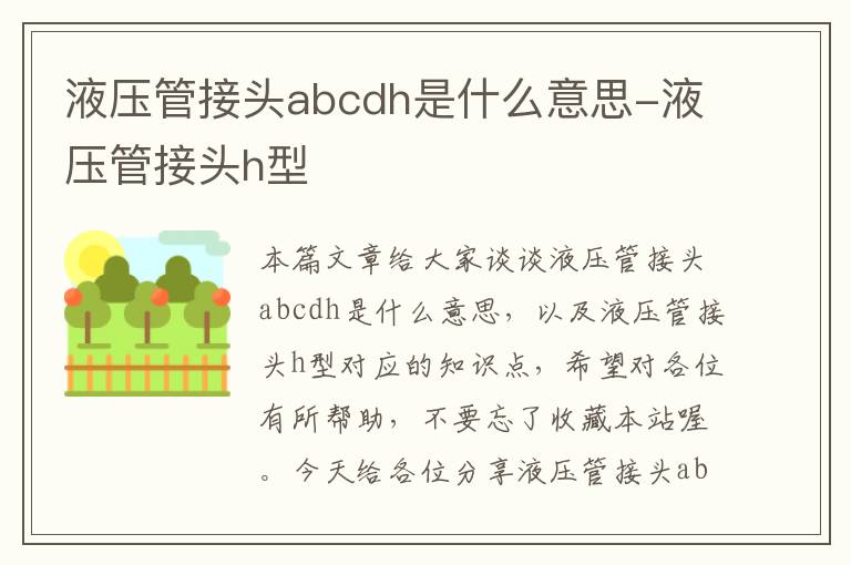 液压管接头abcdh是什么意思-液压管接头h型