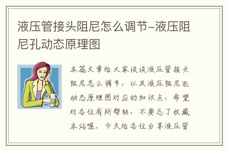 液压管接头阻尼怎么调节-液压阻尼孔动态原理图