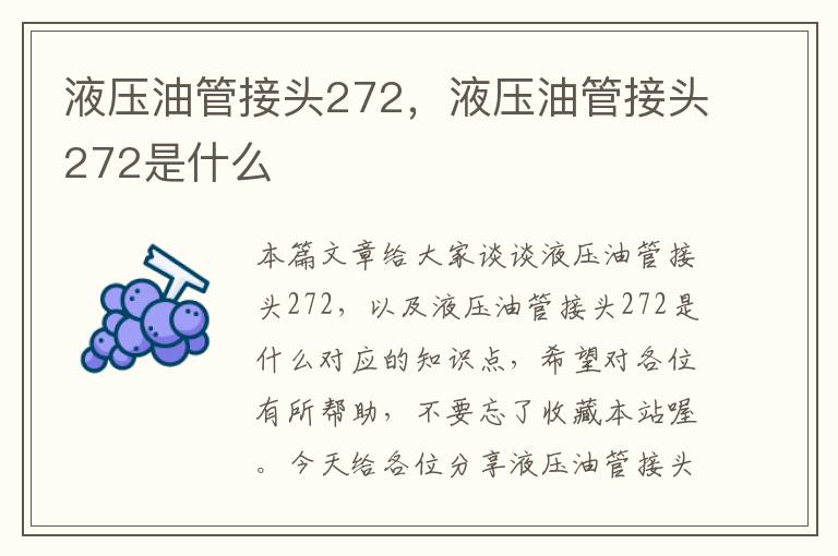 液压油管接头272，液压油管接头272是什么