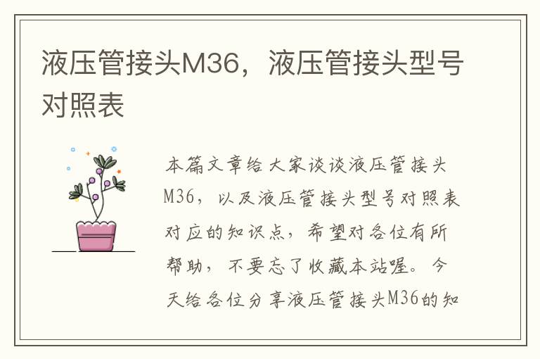 液压管接头M36，液压管接头型号对照表