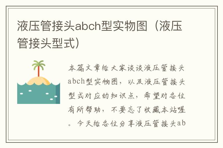 液压管接头abch型实物图（液压管接头型式）